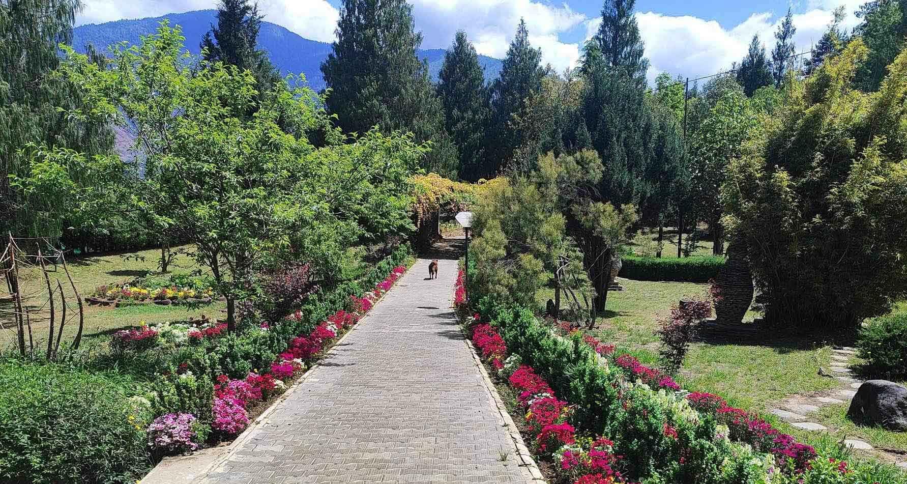 Flower-lined path through the Royal Botanical Garden at Serbithang
