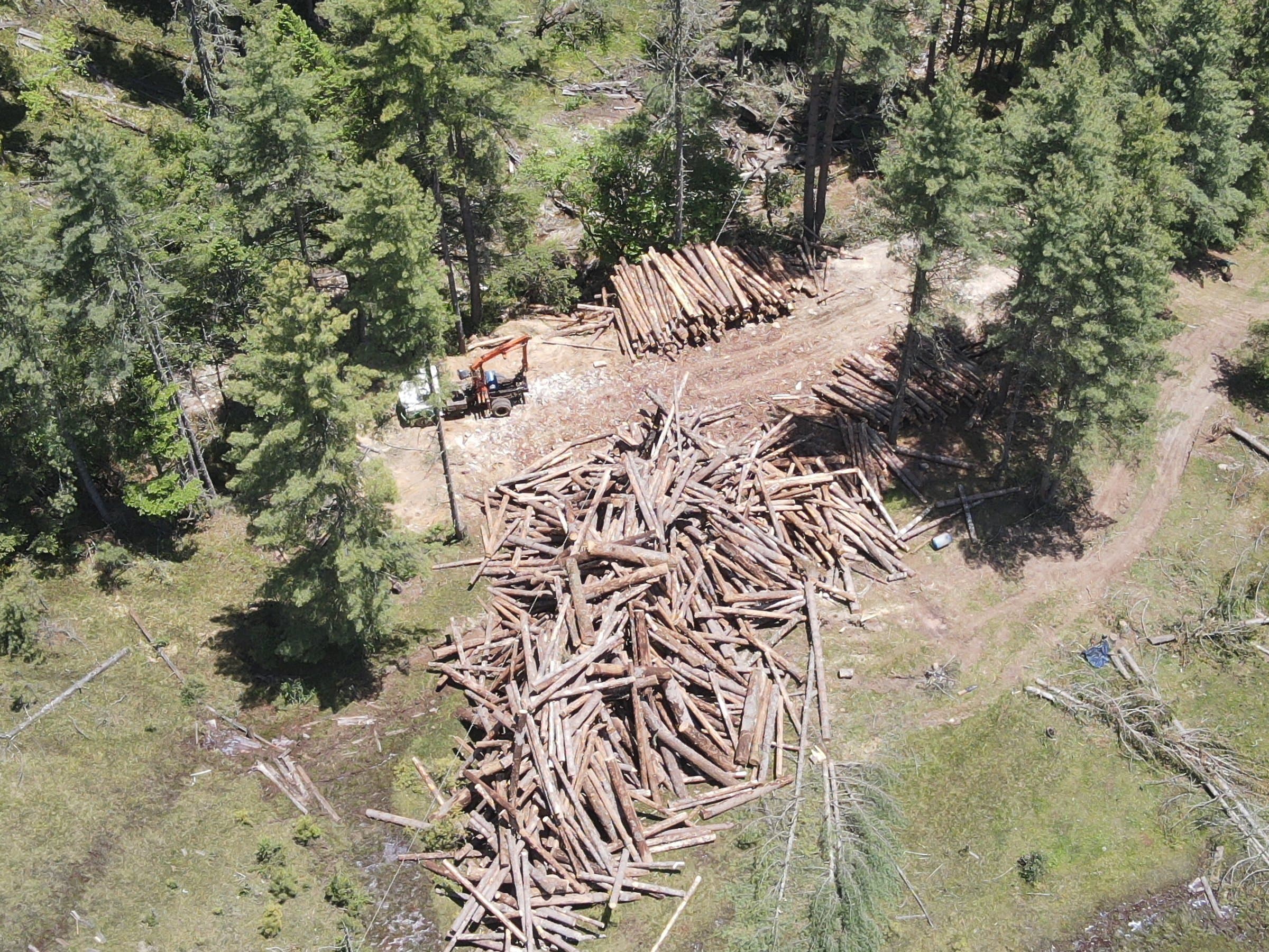 Aerial view of sorted timber piles and forestry equipment at Gidakom FMU