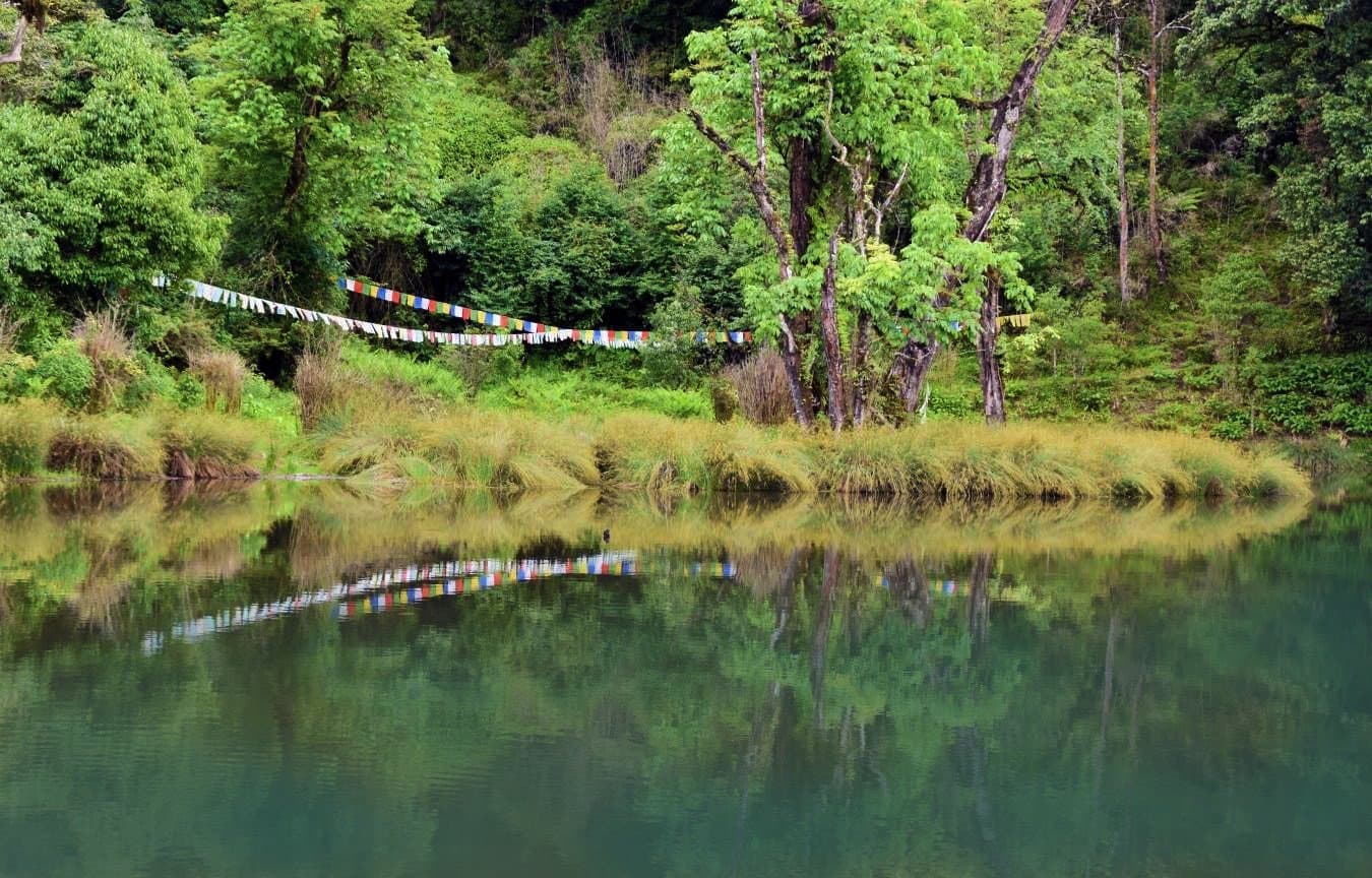 Reflecting pond with a gazebo at Lamperi Botanical Park