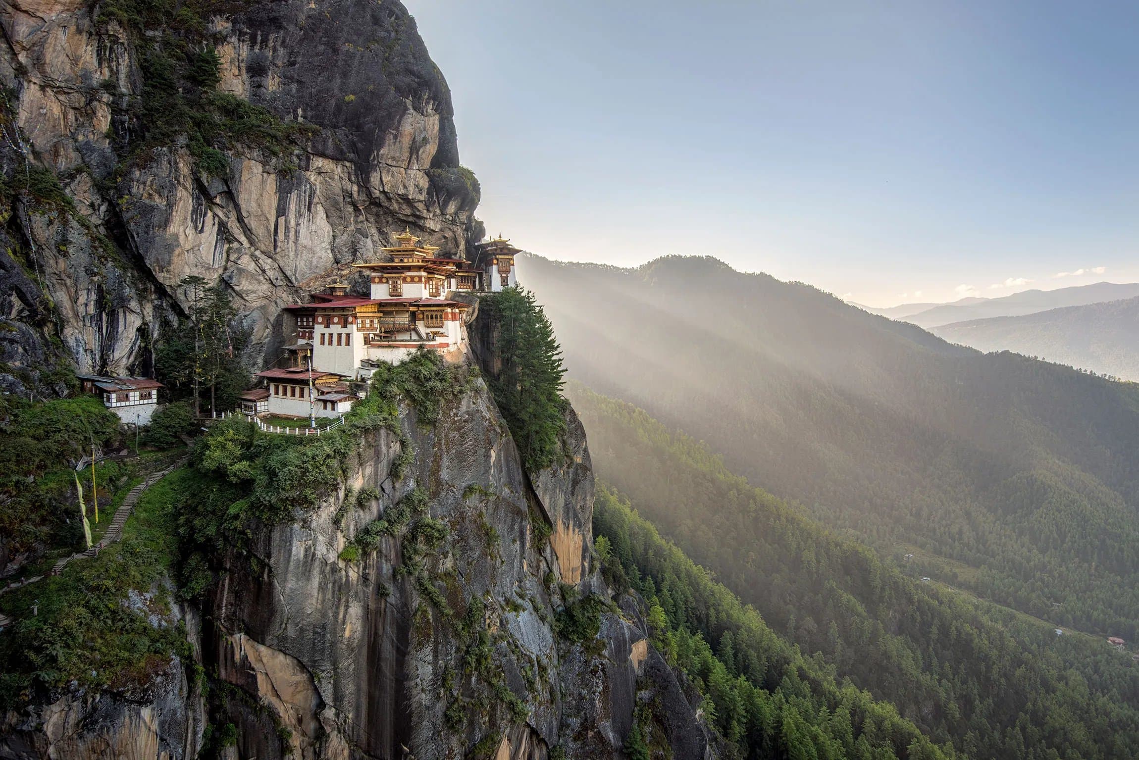 Paro Taktsang, the Tiger's Nest monastery, perched on a cliffside above the forest