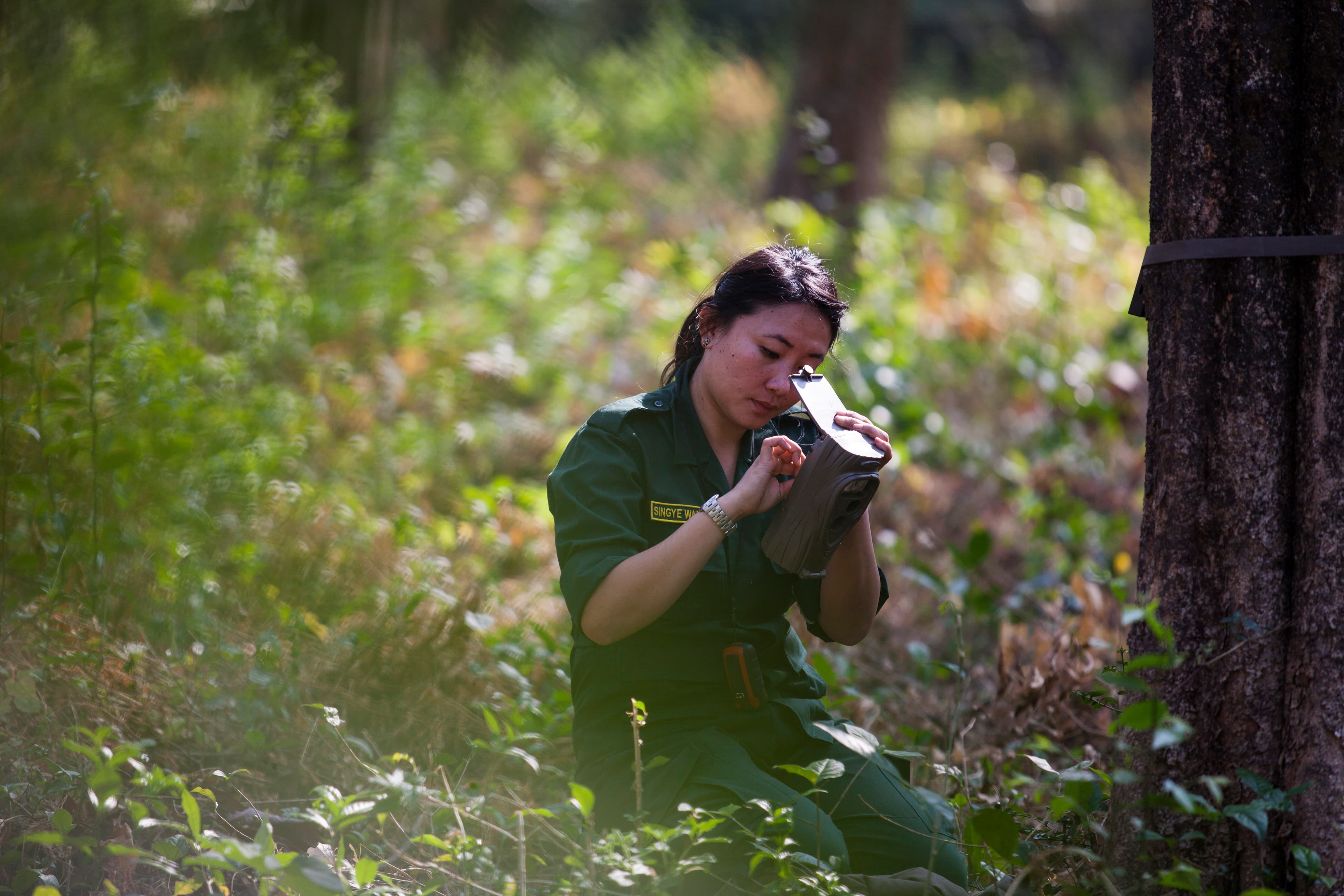 A woman ranger recording field notes in a forest.